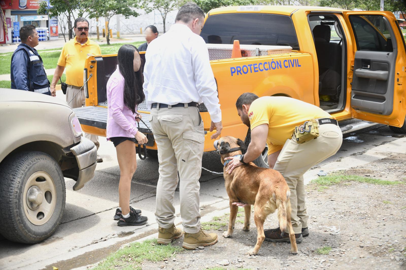 $!Dirección de Ecología acompaña a rescatista tras caso de maltrato animal en Mazatlán