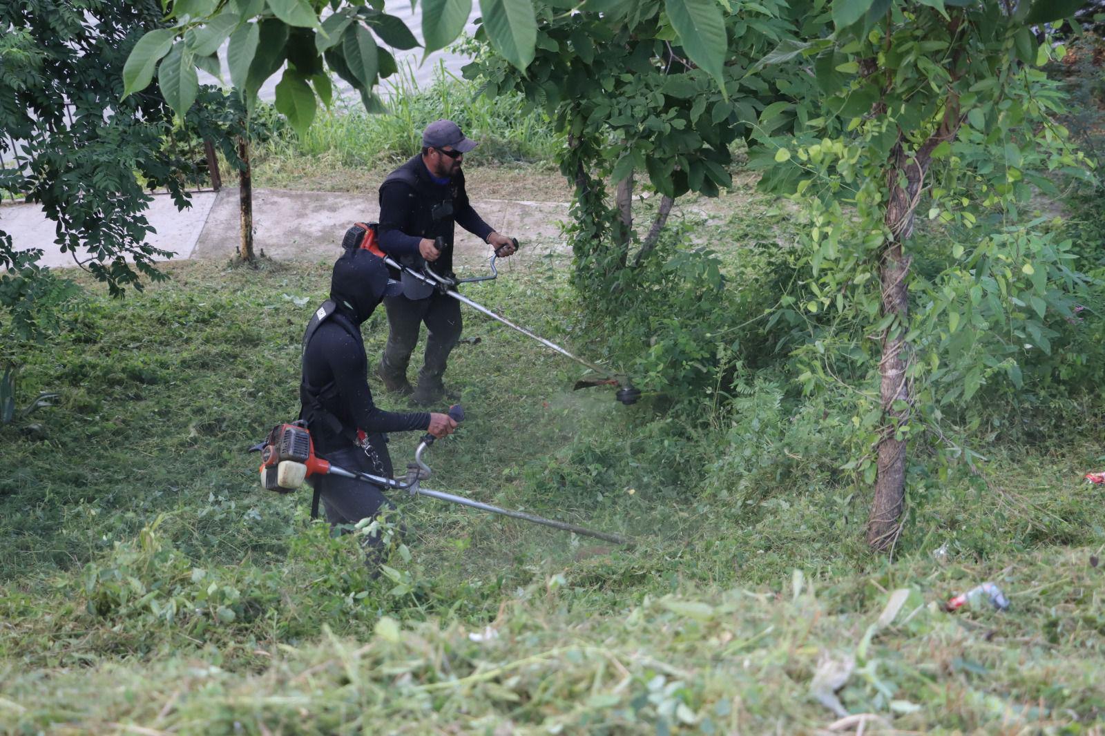$!Ecología y centro de rehabilitación realizan saneamiento en la Laguna del Iguanero en Rosario