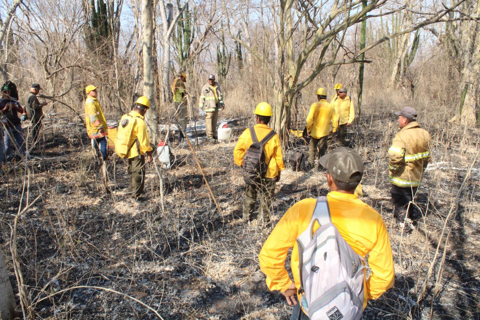 $!Brigada de La Rastra, guardianes siempre dispuestos a luchar contra incendios forestales