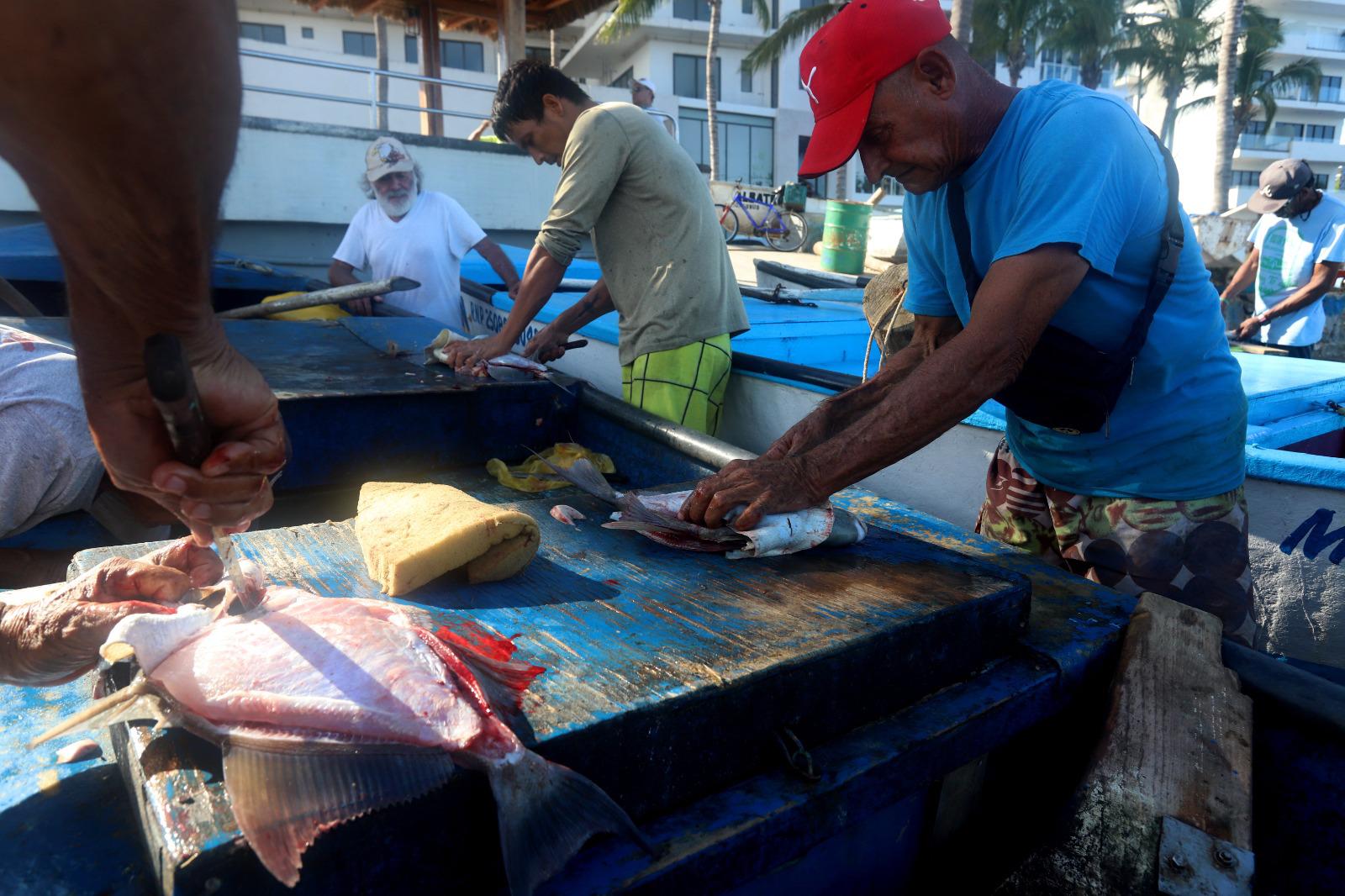 $!Tras la crisis que enfrentan pescadores de escama de Mazatlán, reciben primeras despensas alimenticias