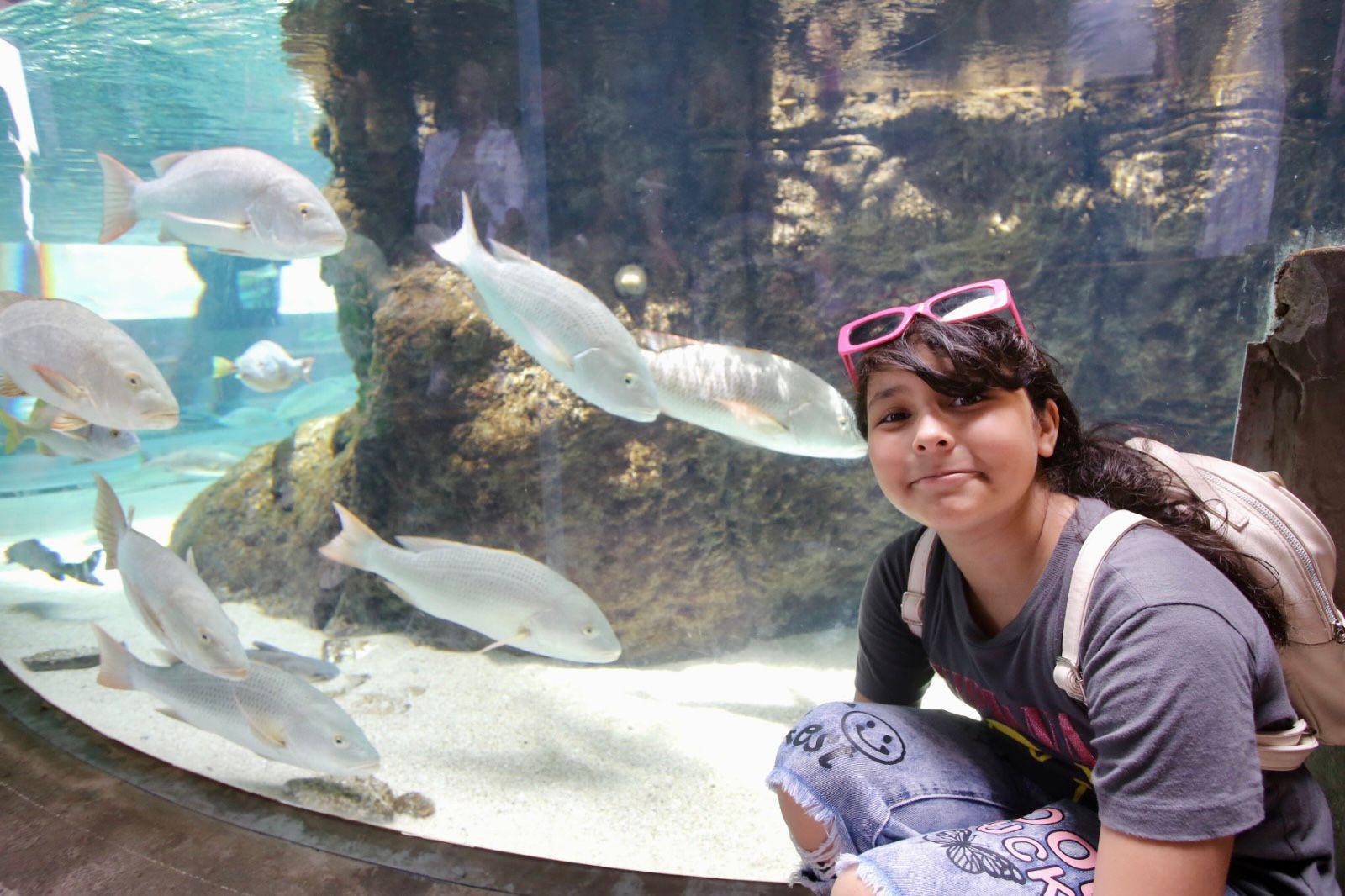 $!Hijos de trabajadores de Noroeste celebran el Día del Niño con una ‘exploración’ en el Gran Acuario de Mazatlán
