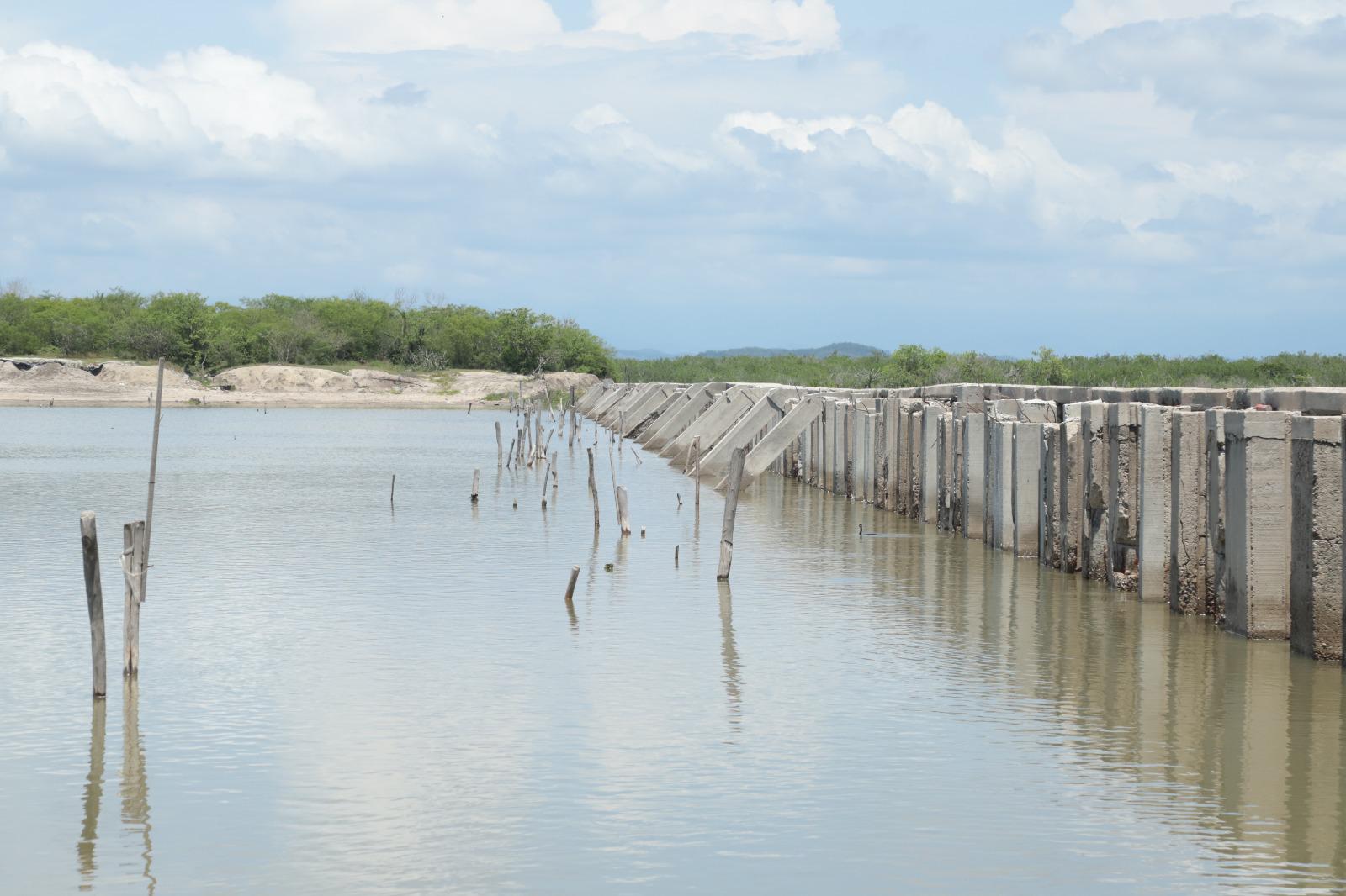 $!Temporada de camarón está muerta antes de iniciar: pescadores ribereños