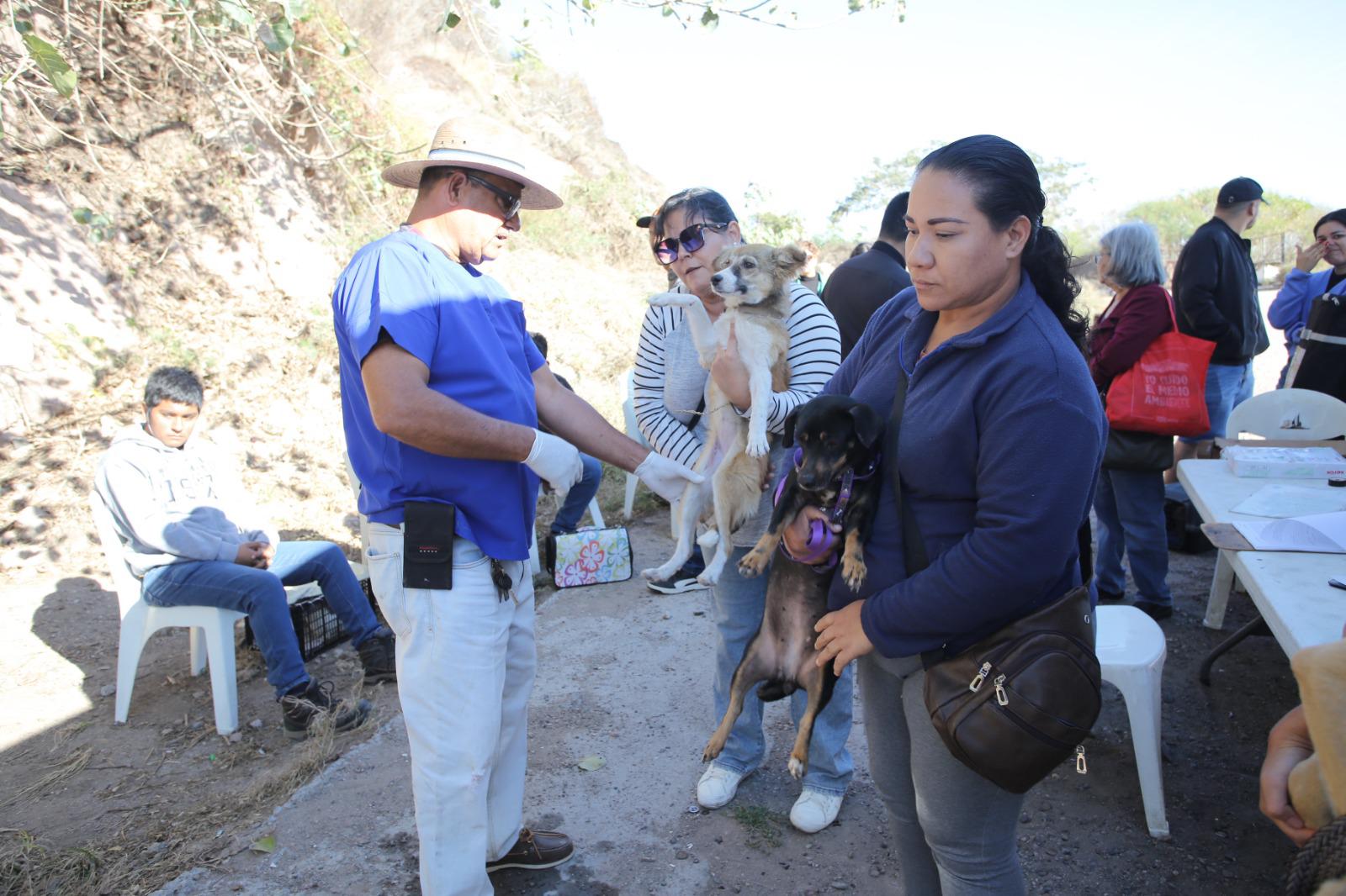 $!Llega al Faro de Mazatlán la feria de adopción y esterilización por el Día del Gato