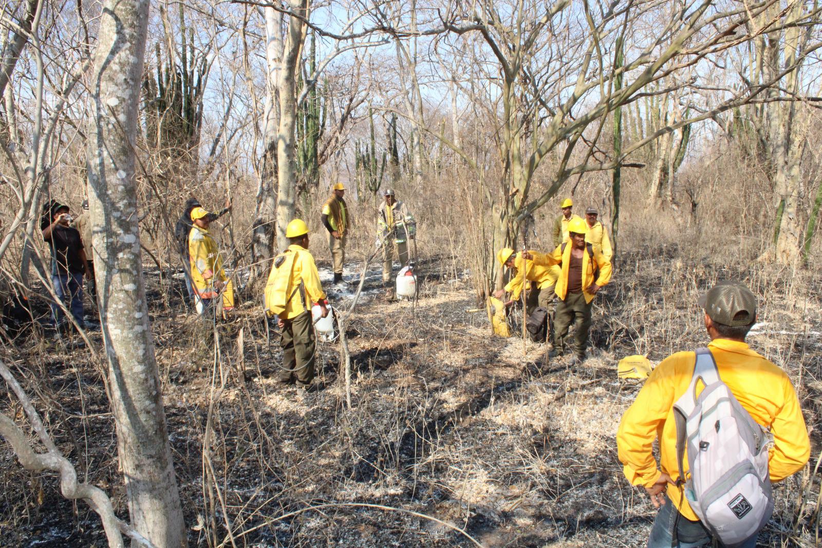 $!Brigada de La Rastra, guardianes siempre dispuestos a luchar contra incendios forestales