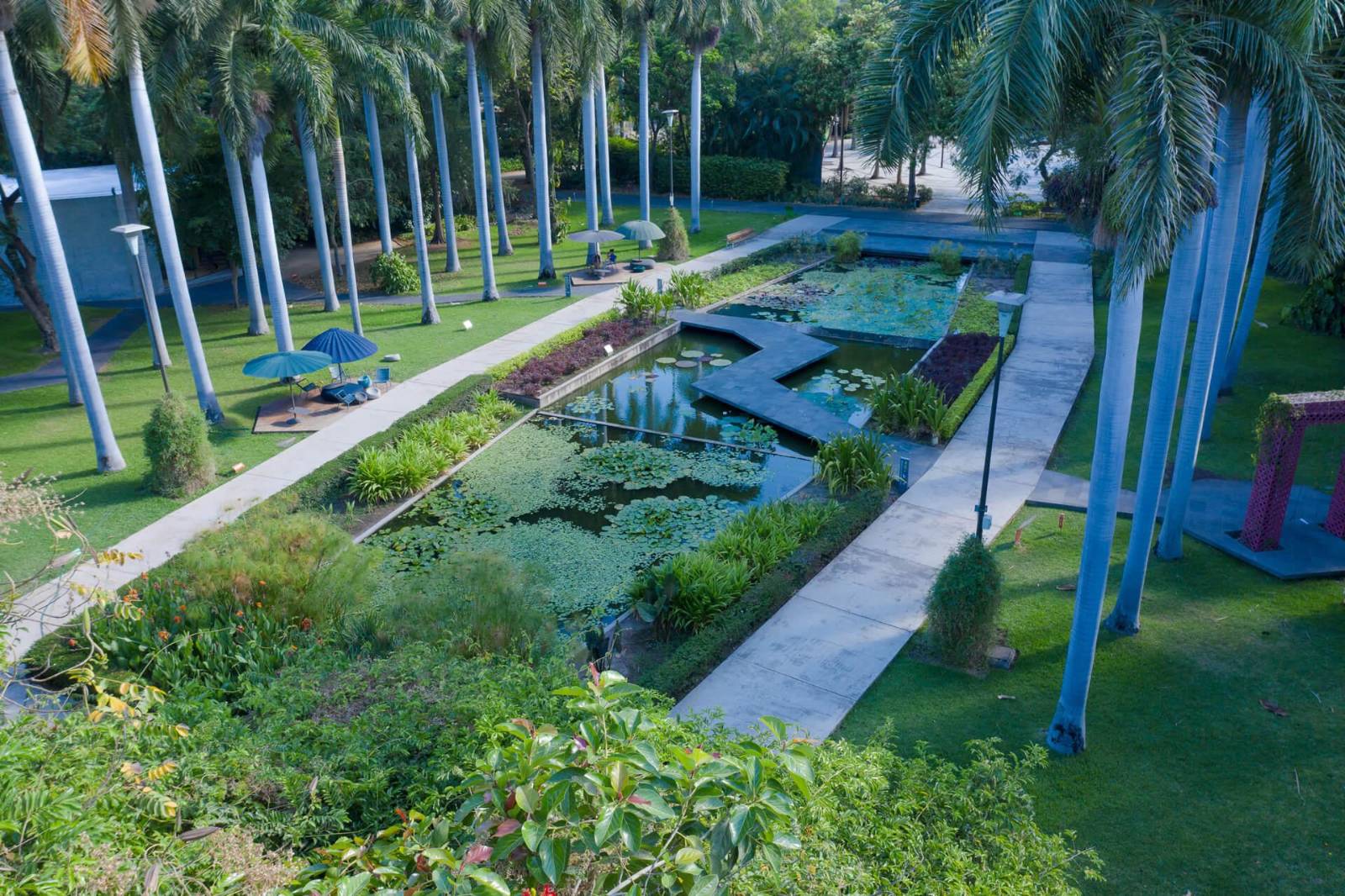 Incluye La Nación a Jardín Botánico de Culiacán como uno de los 7 más ...