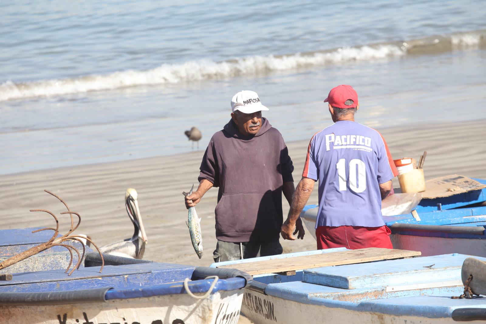 $!El mar se pone frío y en Mazatlán inicia la temporada de sierra