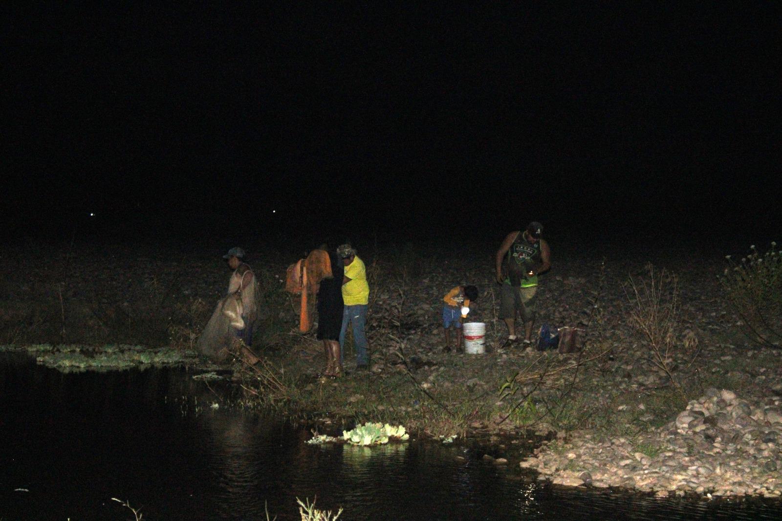 $!Familias de Rosario aprovechan proliferación de ‘pupos’ en el río Baluarte