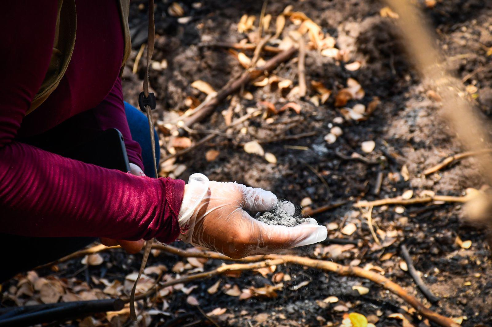 $!Peinan Costa Rica buscando a seis jóvenes desaparecidos; entre parcelas buscaron los cuerpos