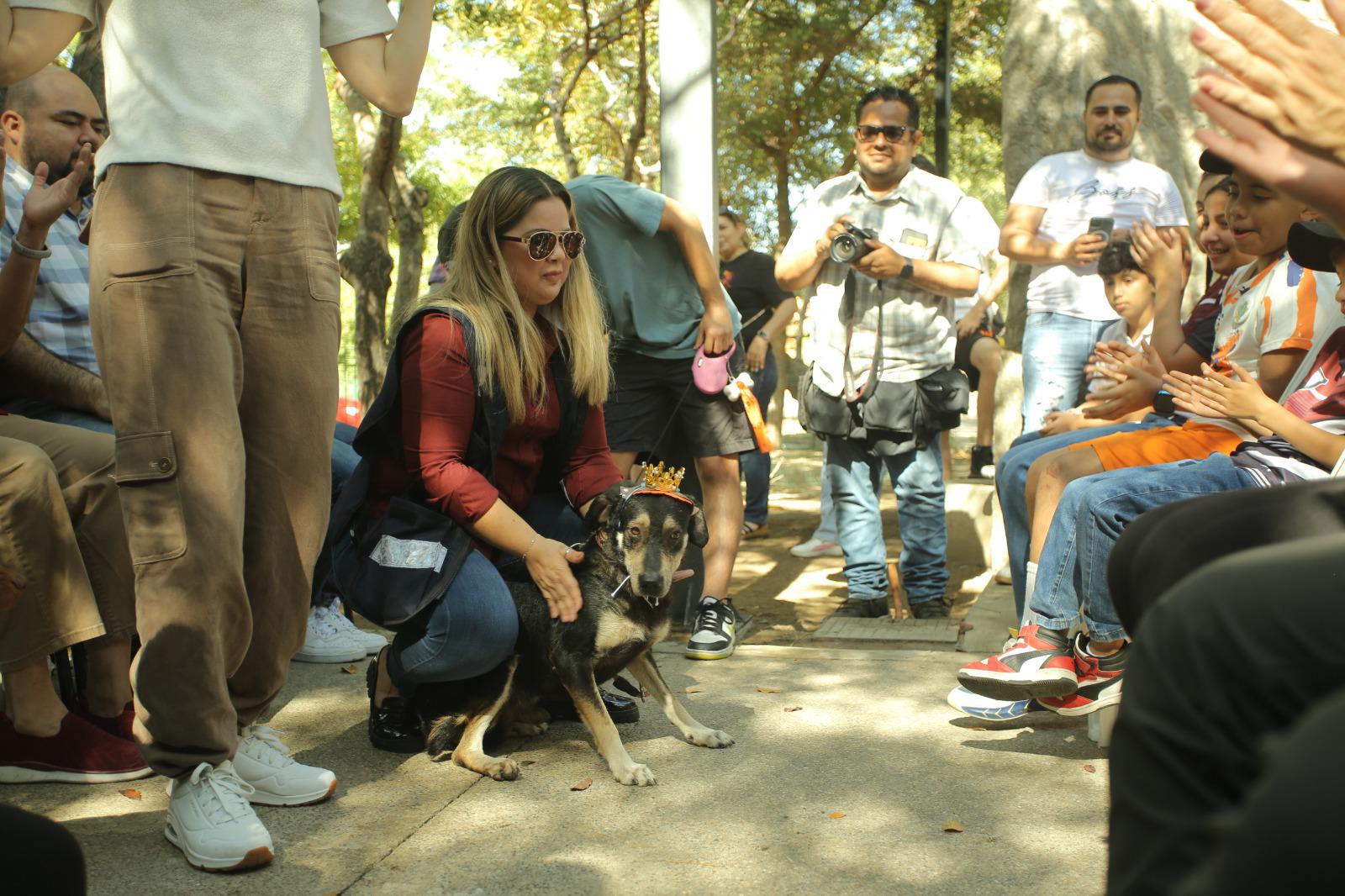 $!Avanza ‘Huellitas del Bienestar’ con 74 adopciones y más de 7 mil esterilizaciones para perros y gatos en Mazatlán