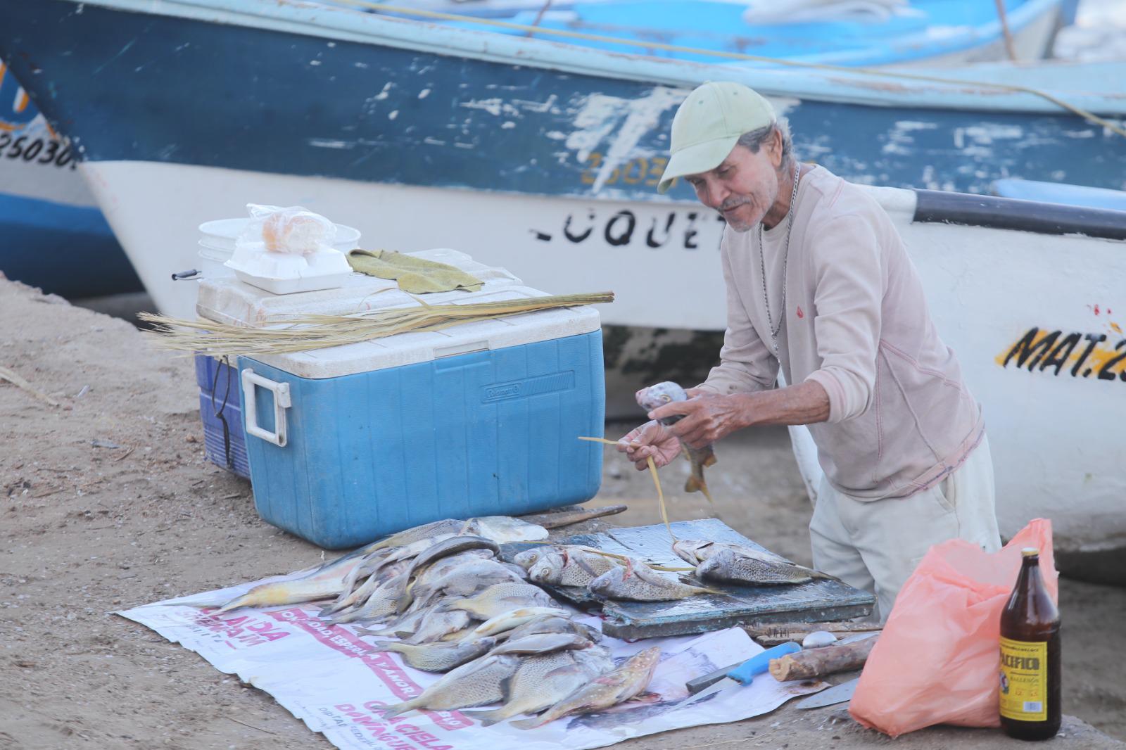 $!El mar se pone frío y en Mazatlán inicia la temporada de sierra