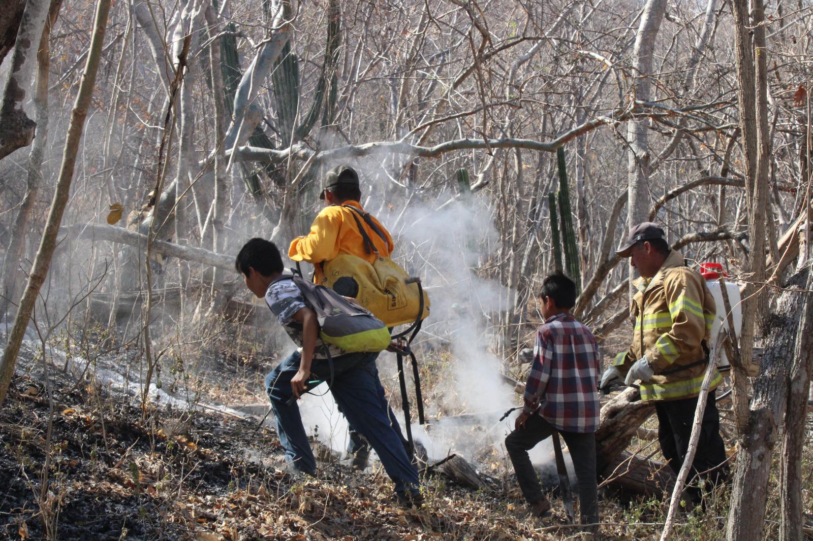 $!Roberto y sus hijos acuden como voluntarios a combatir incendio forestal en Rosario