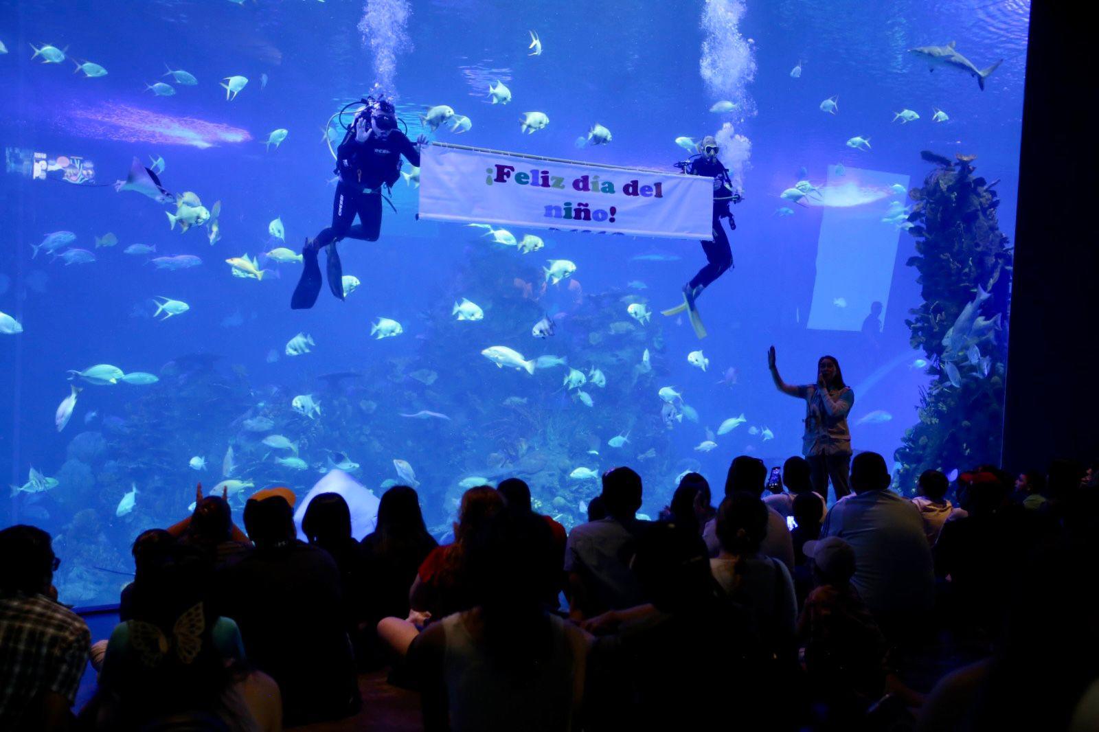 $!Hijos de trabajadores de Noroeste celebran el Día del Niño con una ‘exploración’ en el Gran Acuario de Mazatlán