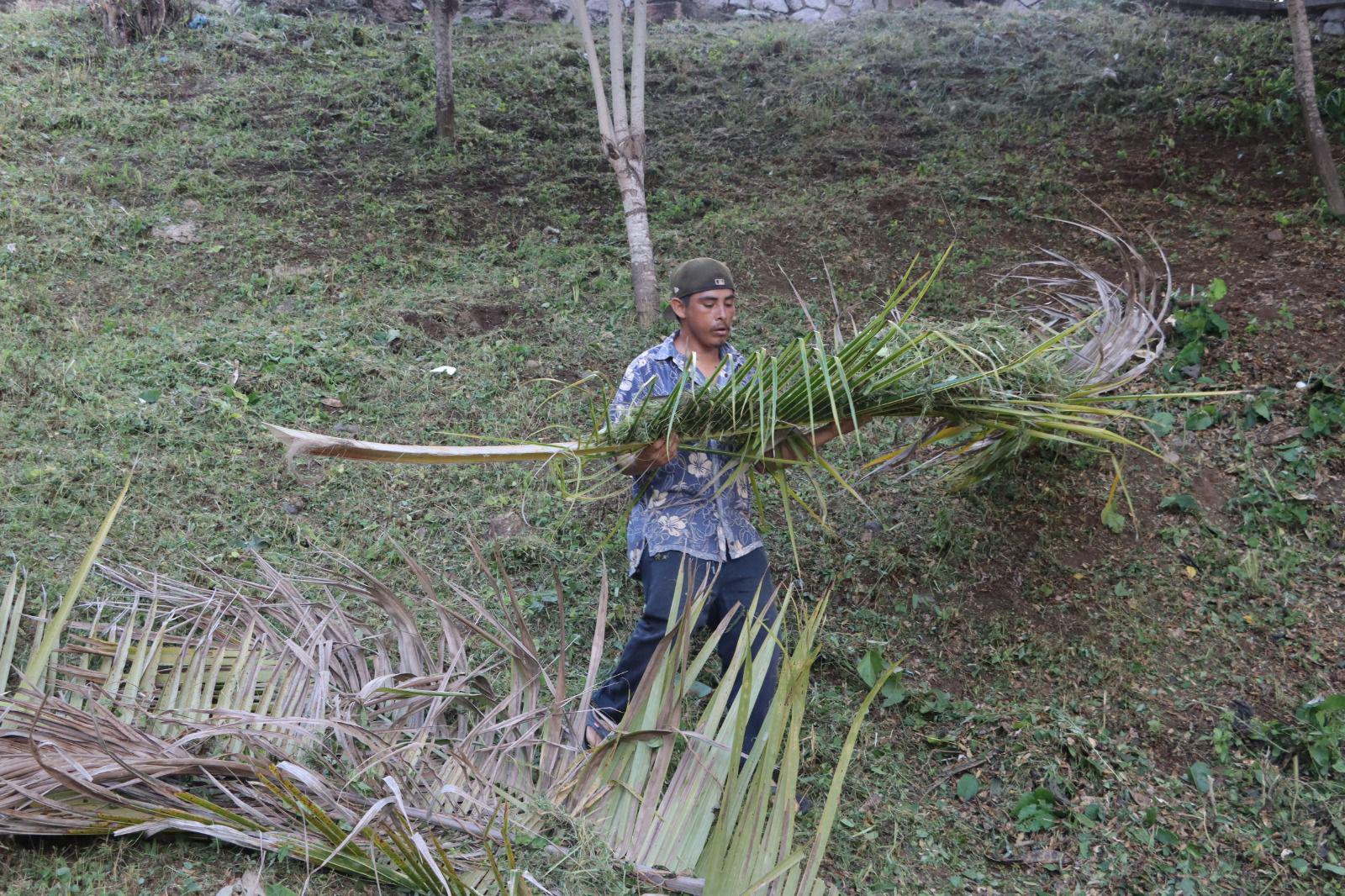 $!Ecología y centro de rehabilitación realizan saneamiento en la Laguna del Iguanero en Rosario