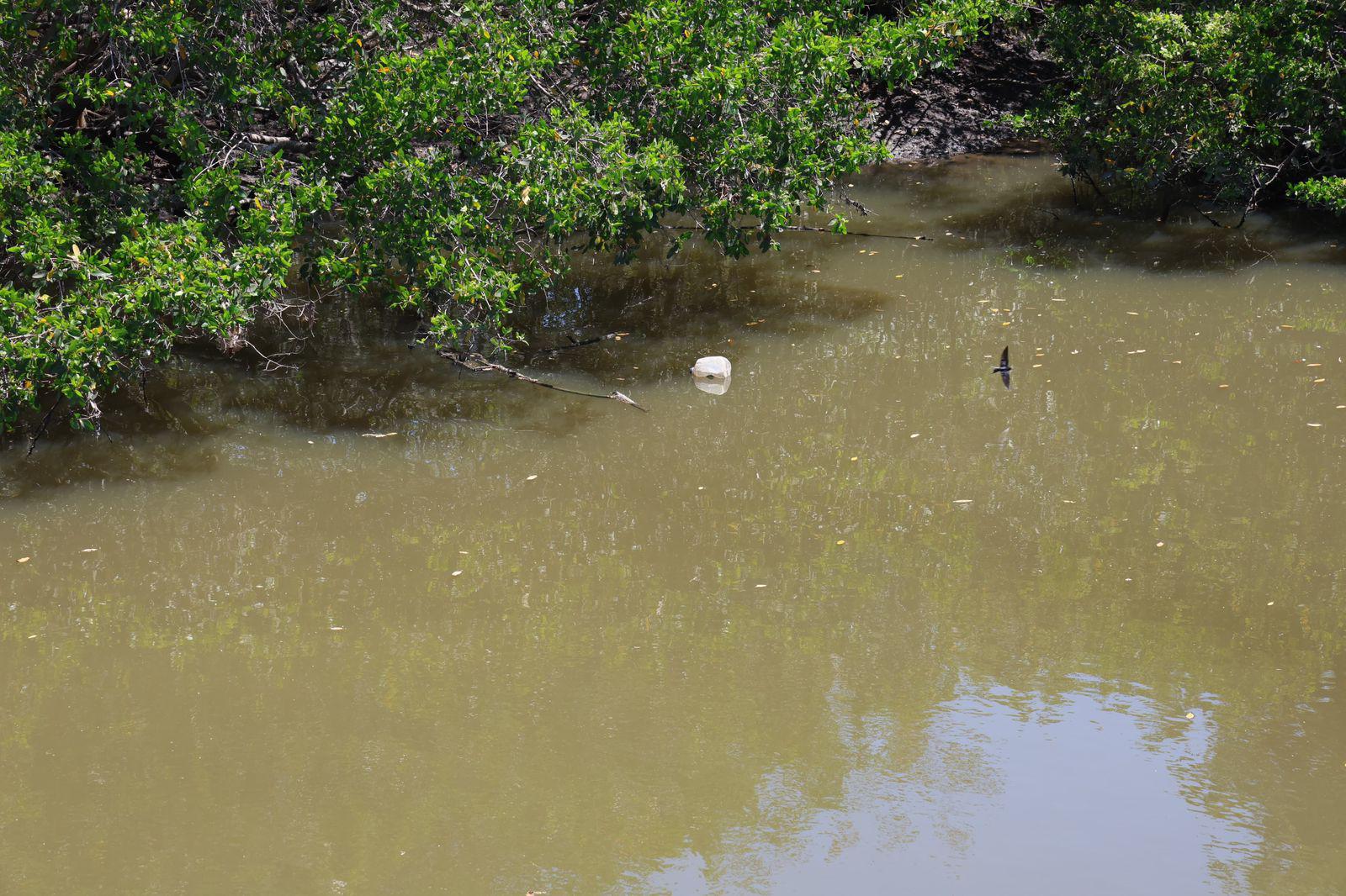 $!Basura y agua estancada afectan al Arroyo Jabalines y canales de Mazatlán