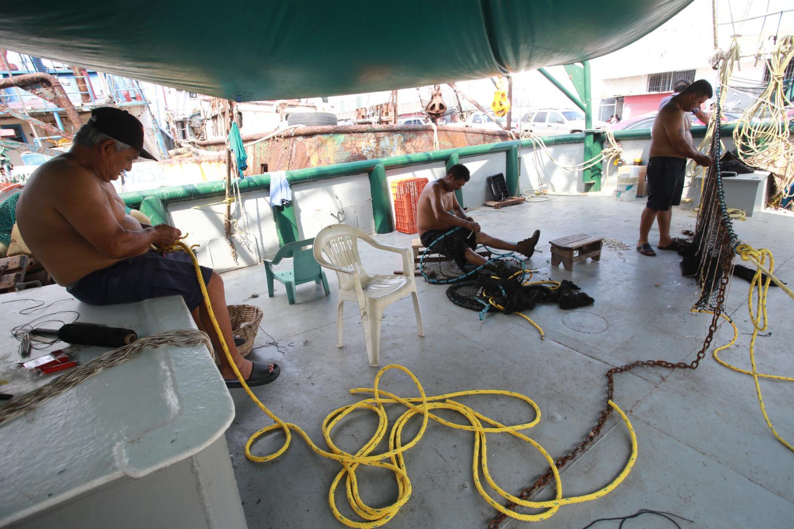 $!Solo el 40% de la flota de Mazatlán saldrá a la pesca del camarón esta temporada