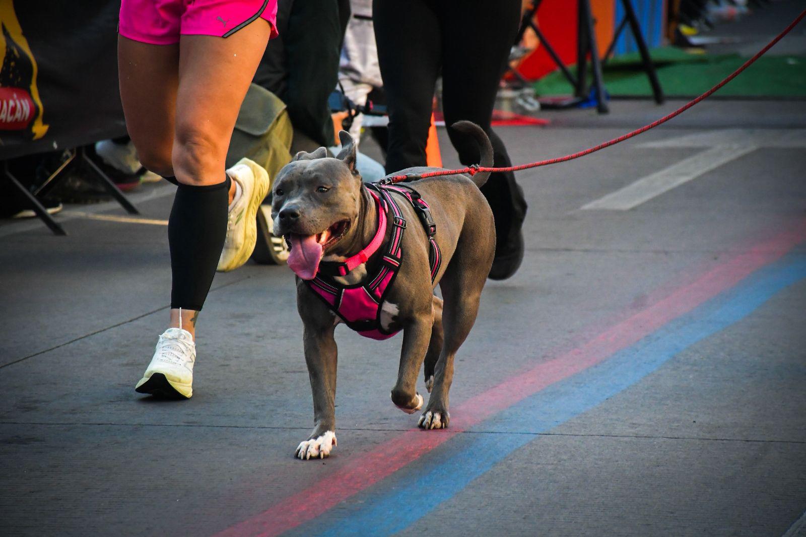$!Alfred Kipserem Cherop y María Ruiz ganan el Maratón Internacional de Culiacán