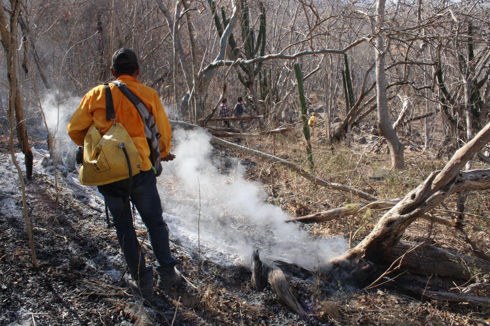 $!Brigada de La Rastra, guardianes siempre dispuestos a luchar contra incendios forestales