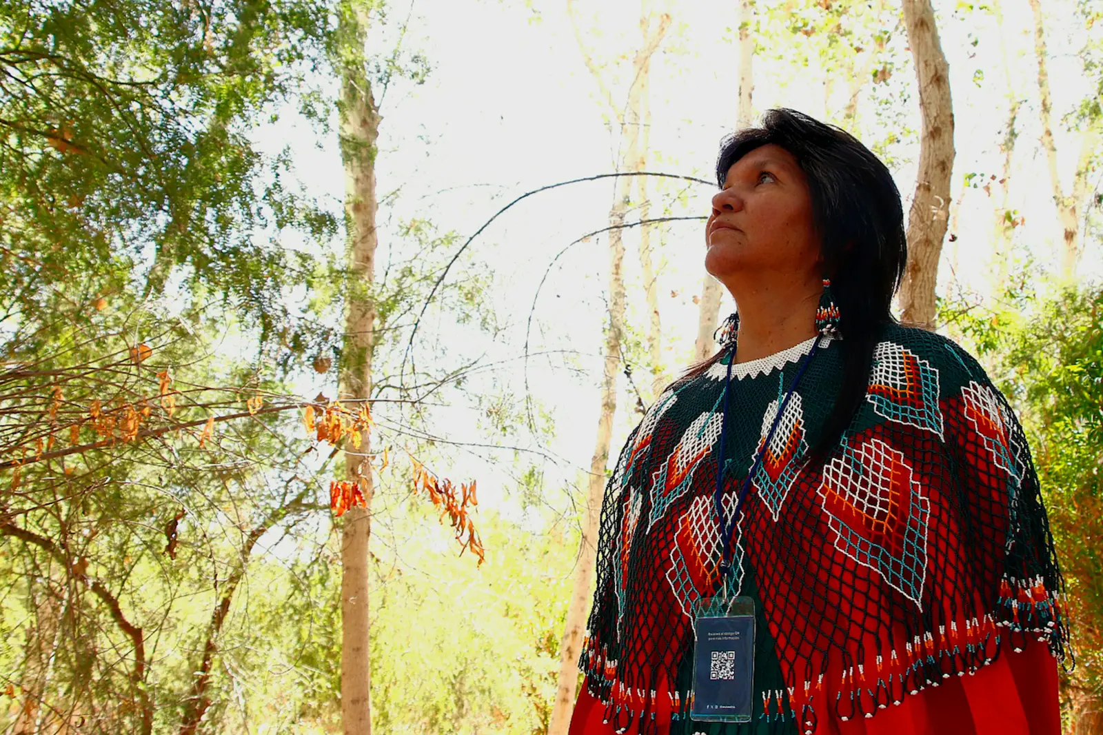 $!Amelia Díaz Chan, artesana cucapá de Pozas de Arvizu.