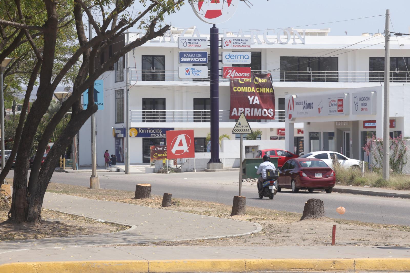 $!Luce Parque Lineal con menos sombra tras tala de árboles; vecinos denuncian el hecho