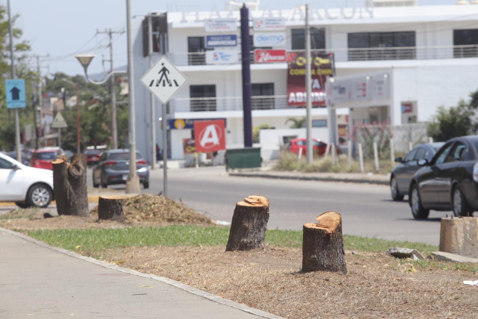 $!Luce Parque Lineal con menos sombra tras tala de árboles; vecinos denuncian el hecho