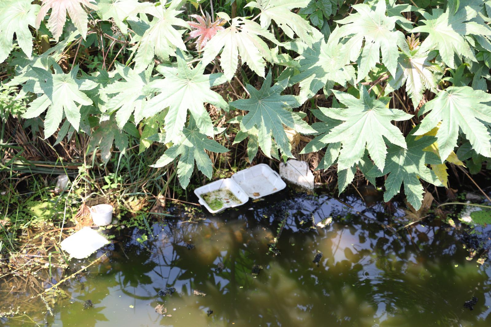 $!Vecinos denuncian basura y maleza en el Arroyo Jabalines pese a labores de limpieza