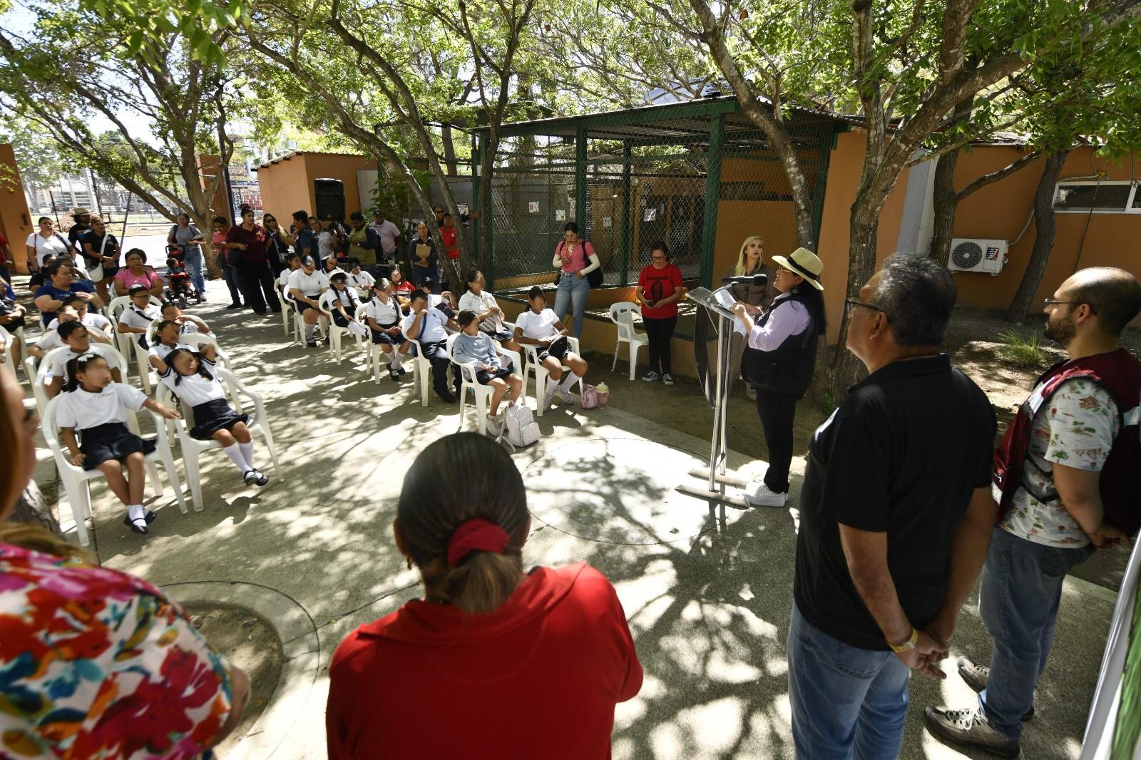 $!Desde enero, Ecología Municipal ha atendido 185 casos de panales de abejas en Mazatlán
