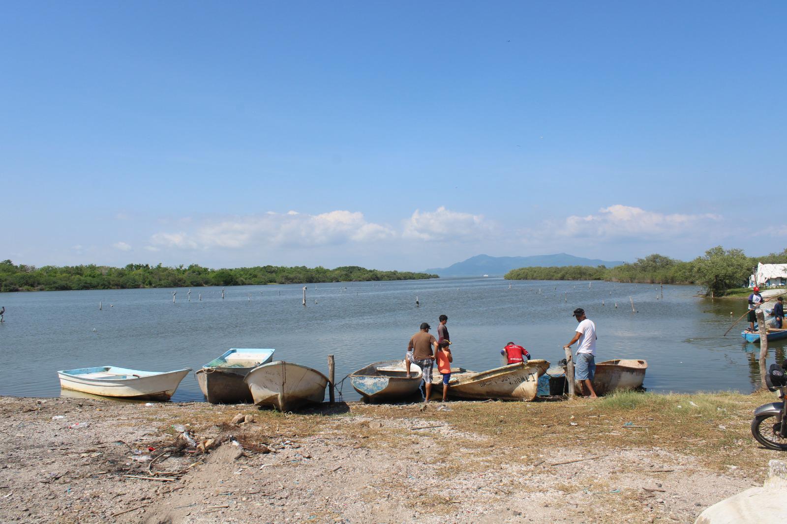$!Por falta de agua dulce, pescadores desahucian temporada de camarón en Rosario