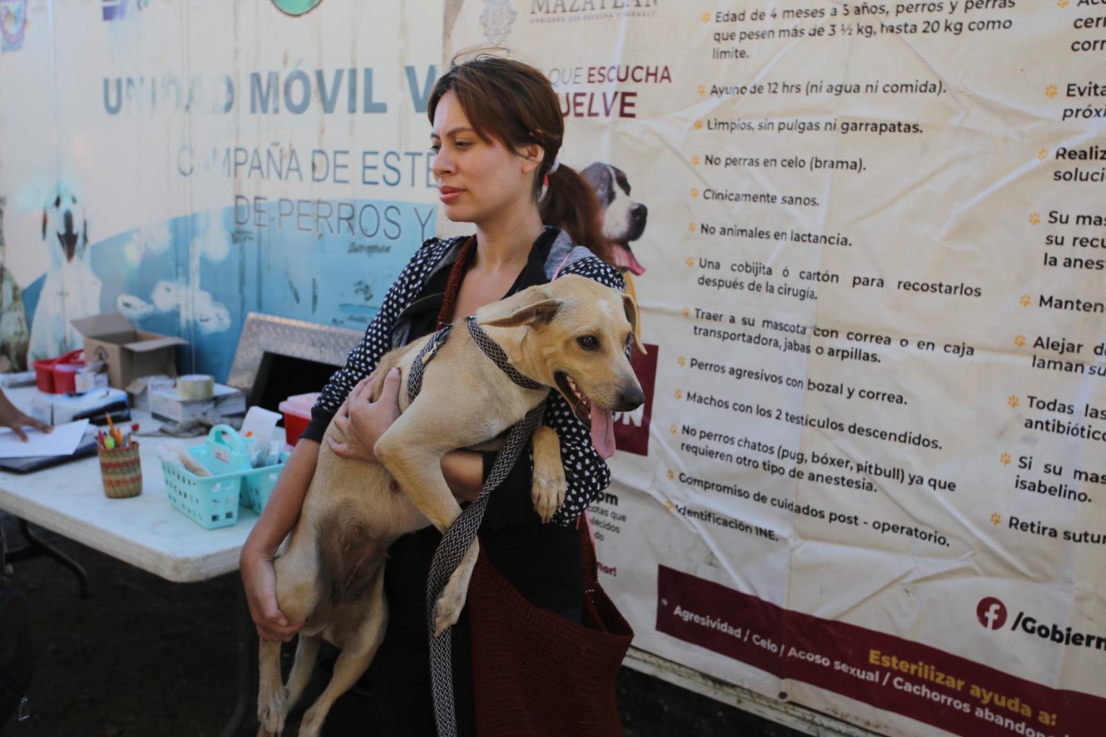 $!Llega al Faro de Mazatlán la feria de adopción y esterilización por el Día del Gato