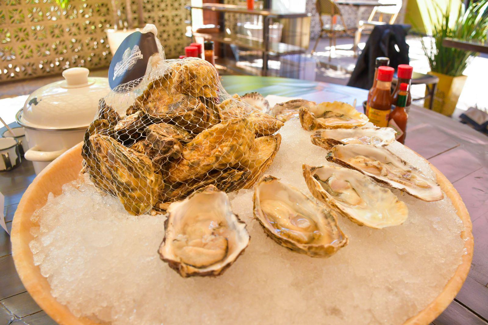 $!Promoverán gastronomía de Sinaloa en festival ‘Tierra y Sal 2025’ del 13 al 15 de marzo en Mazatlán