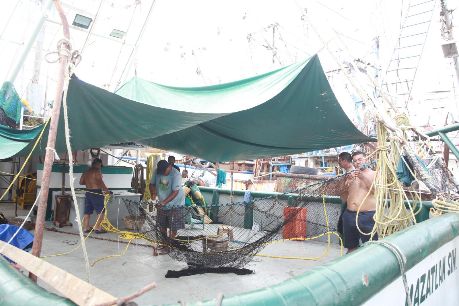 $!Solo el 40% de la flota de Mazatlán saldrá a la pesca del camarón esta temporada