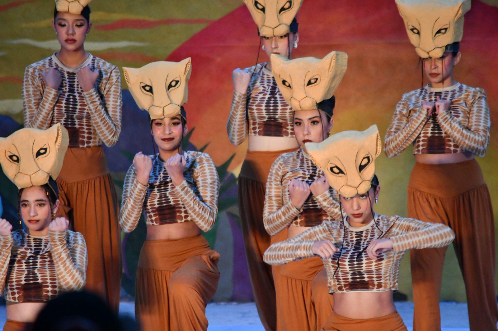 $!Presenta el Zoológico de Culiacán a 4 cachorros de tigre de bengala