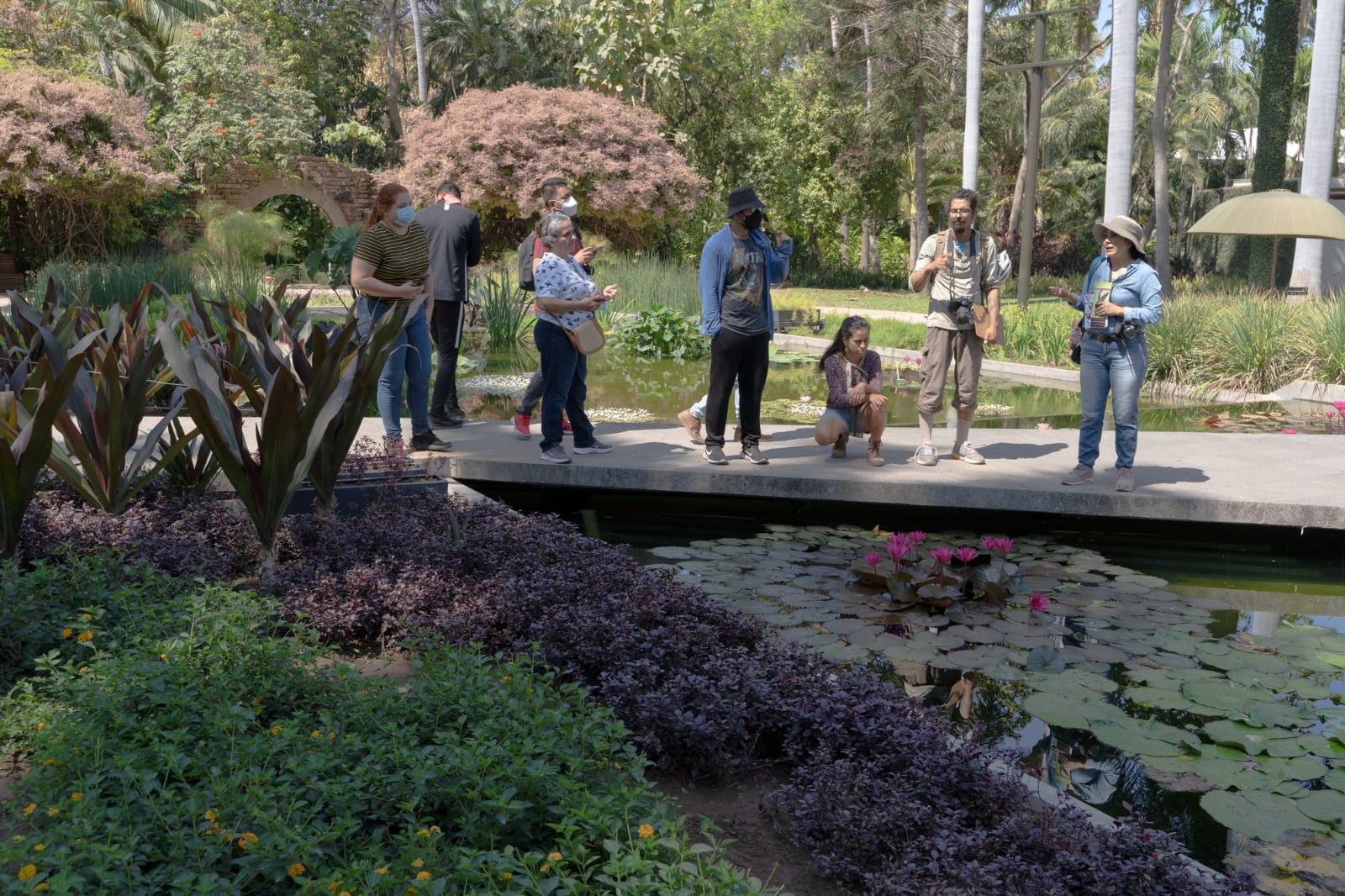 $!Sinaloa destaca en el Reto Naturalista 2022; Mazatlán y Culiacán, en primeros lugares