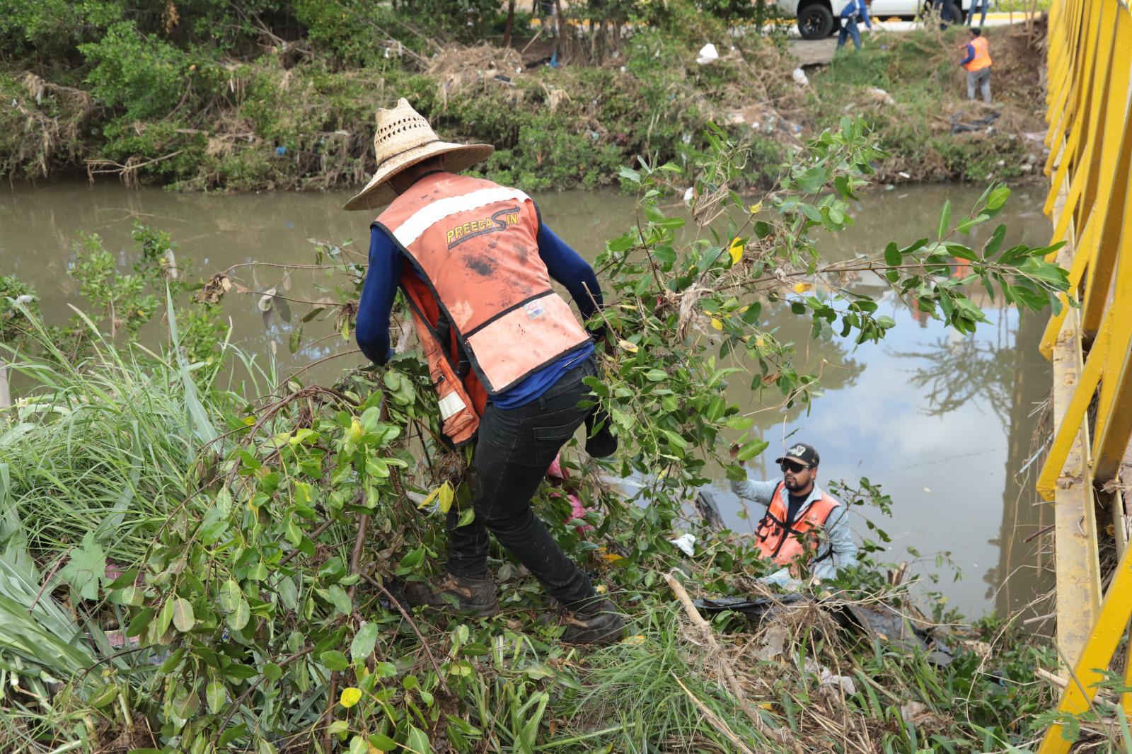 $!Brigada interviene en la tala de manglares protegidos en el Arroyo Jabalines en Mazatlán
