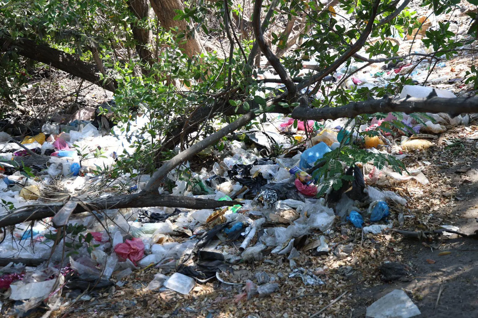 $!Basura y agua estancada afectan al Arroyo Jabalines y canales de Mazatlán