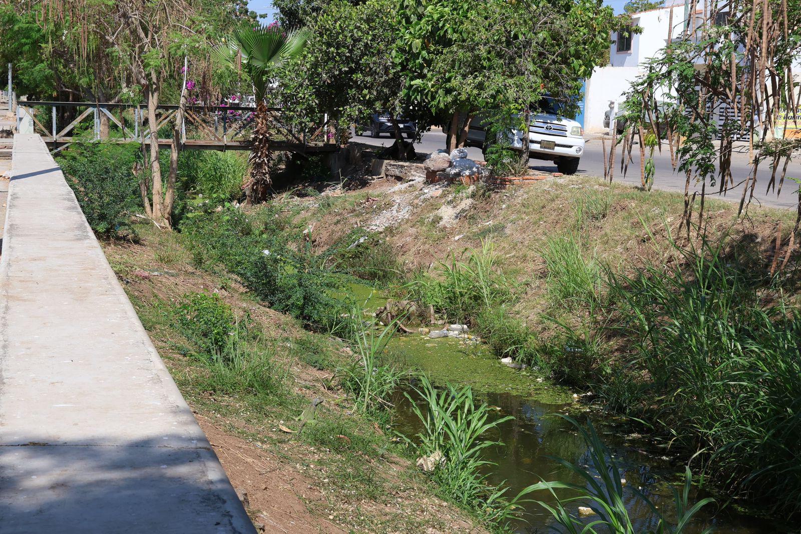$!Basura y agua estancada afectan al Arroyo Jabalines y canales de Mazatlán