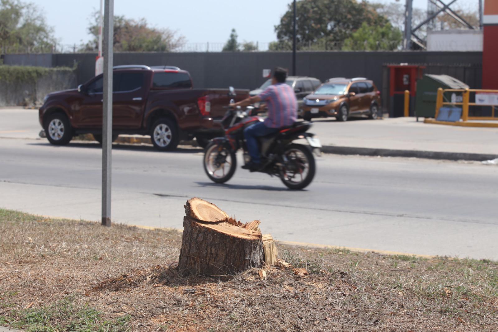 $!Luce Parque Lineal con menos sombra tras tala de árboles; vecinos denuncian el hecho