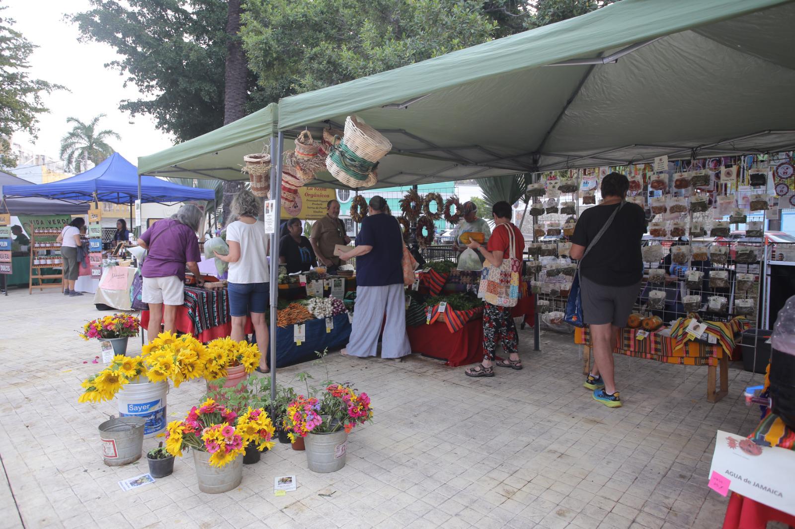 $!Entre compras saludables y rock clásico, el Mercado Orgánico de Mazatlán registra una concurrida jornada