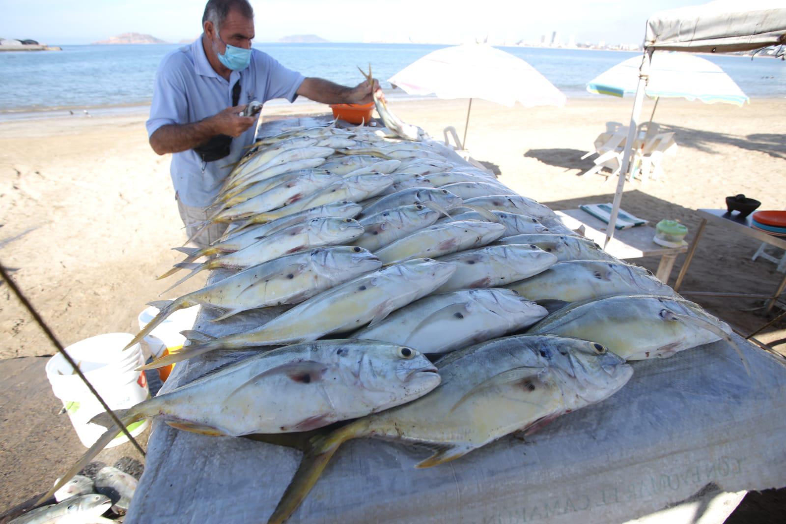 $!Pescadores de altamar definen como ‘muy baja’ la producción de camarón esta temporada