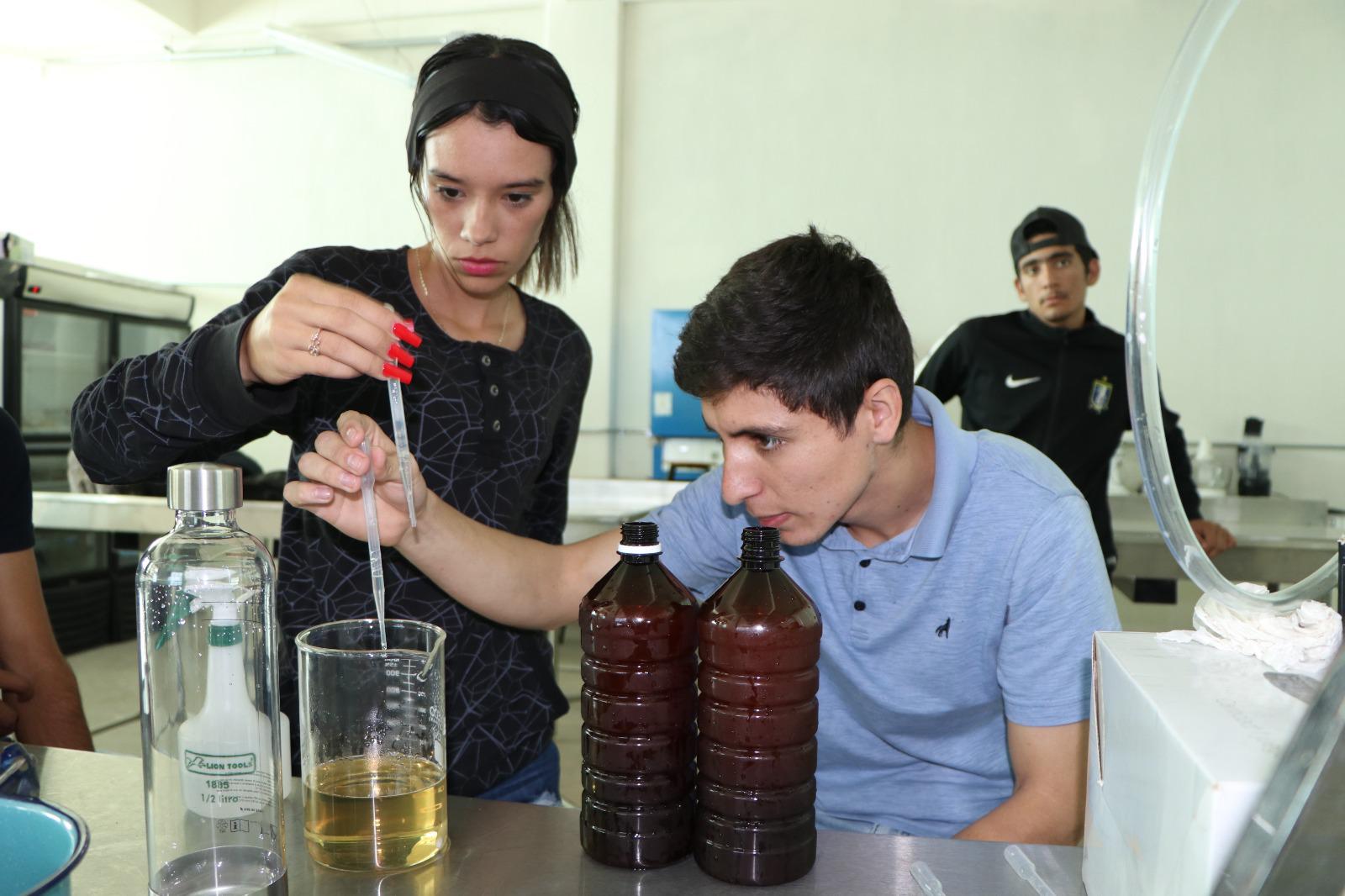 $!Sectur Sinaloa concluye taller de cerveza artesanal en la UPMyS