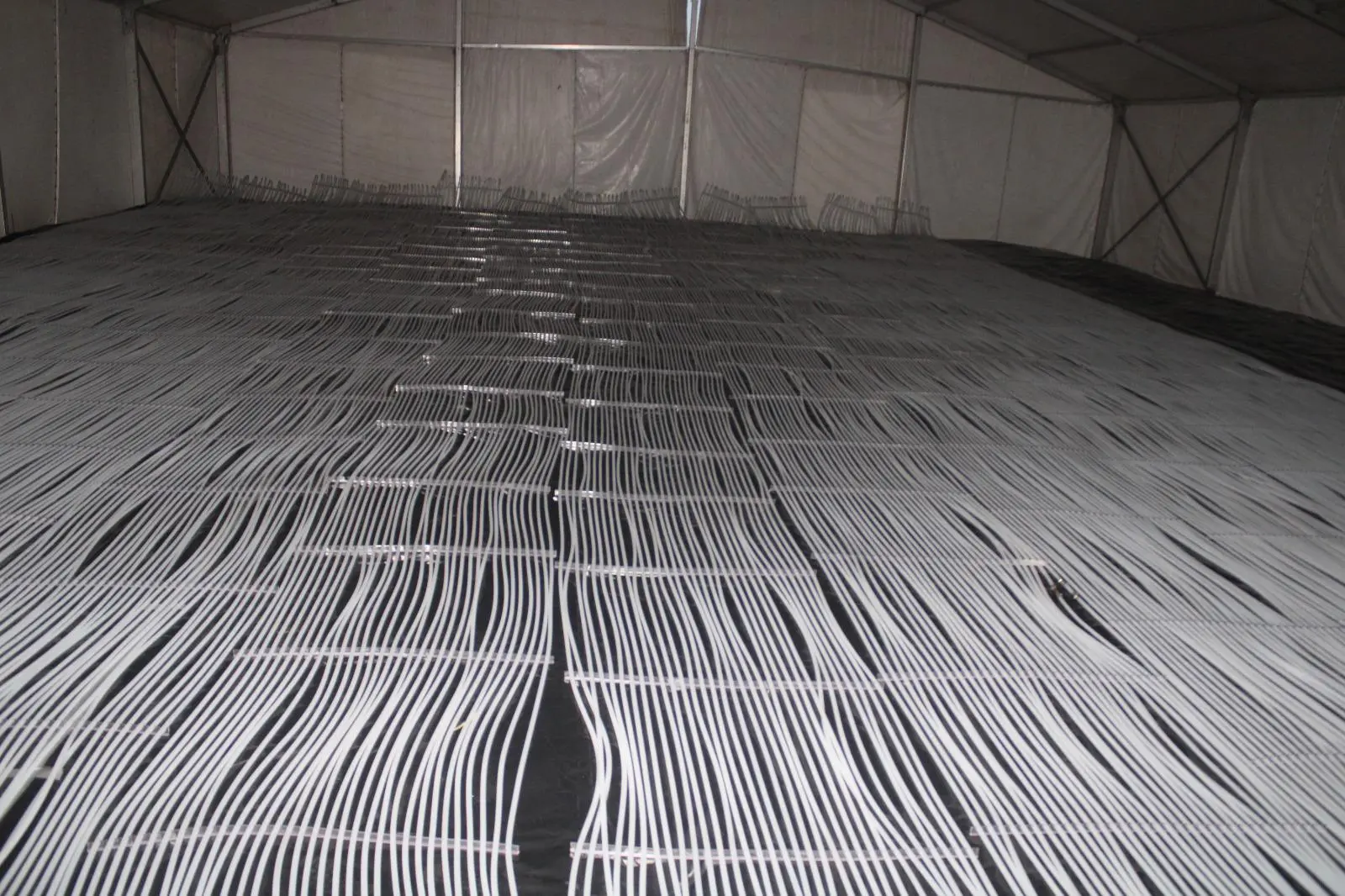 $!Pista de hielo en Rosario podría quedar esta semana: Alcaldesa