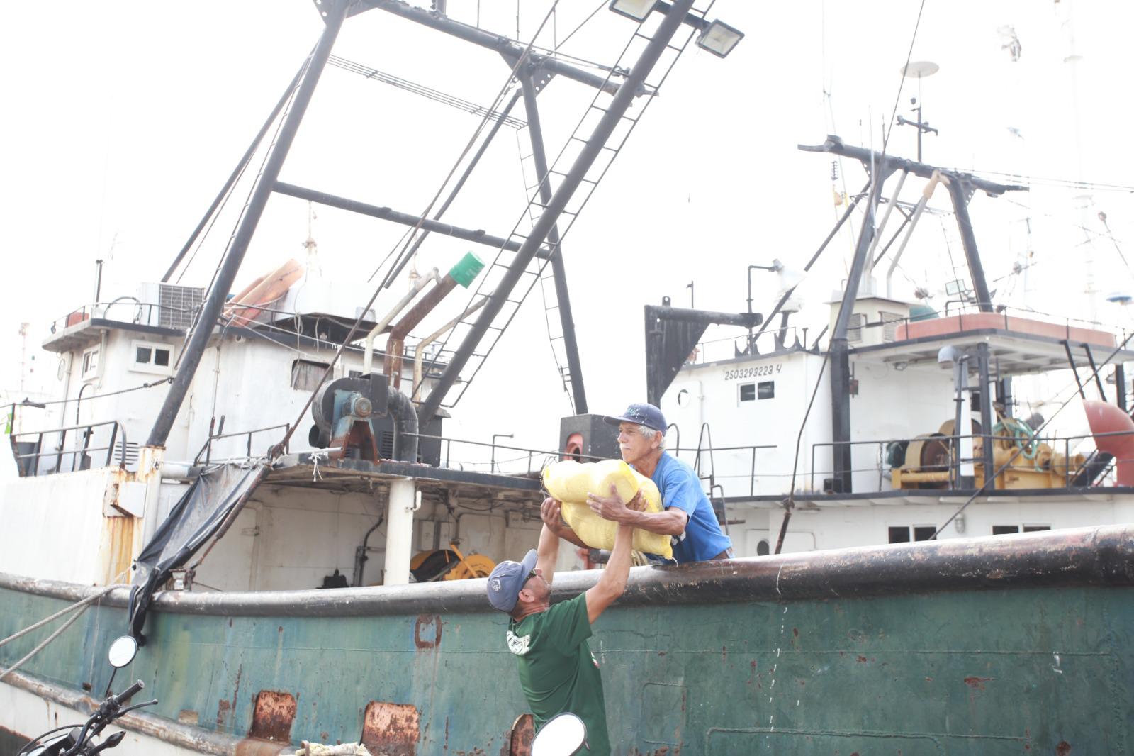 $!Solo el 40% de la flota de Mazatlán saldrá a la pesca del camarón esta temporada