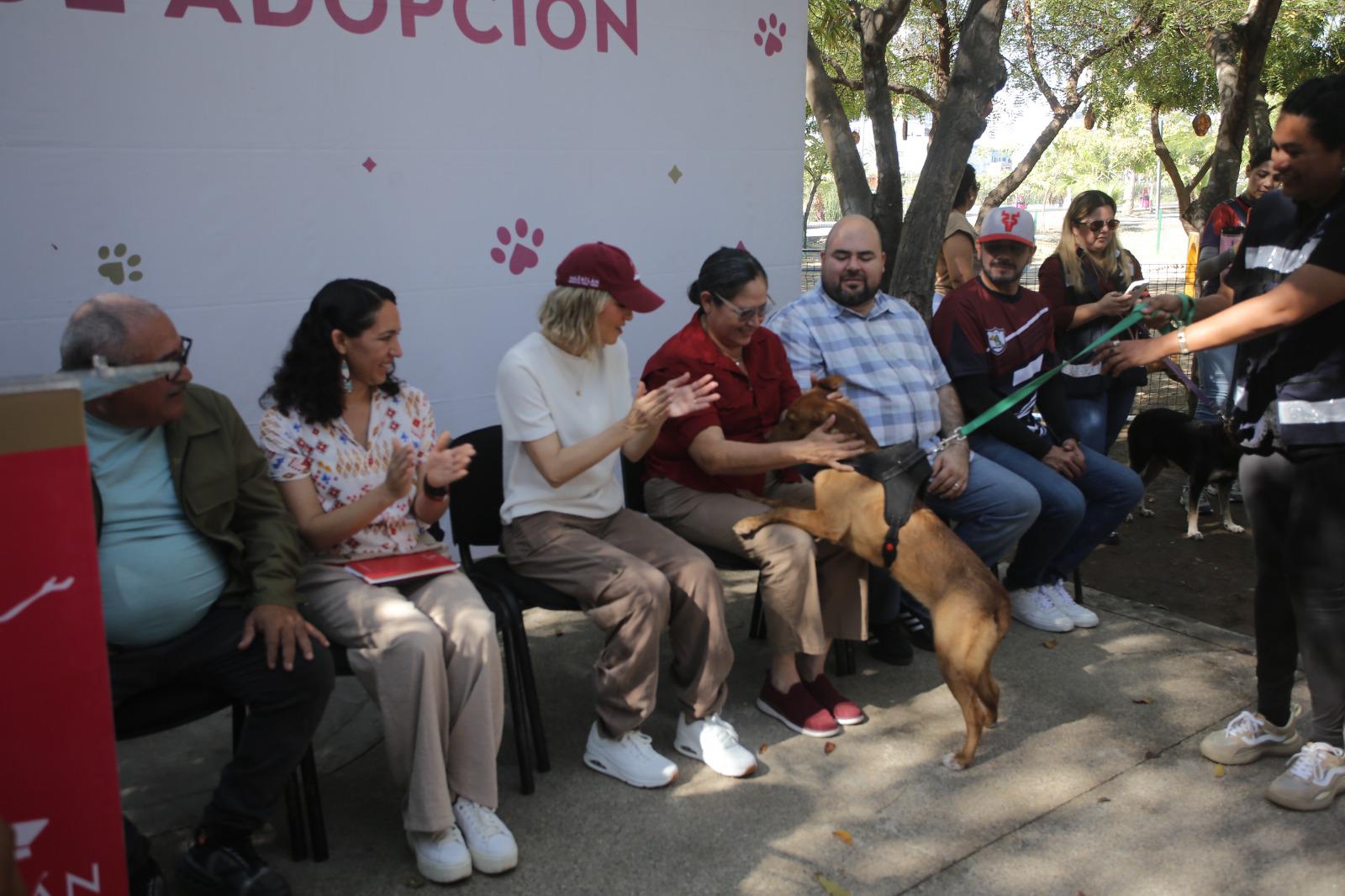 $!Avanza ‘Huellitas del Bienestar’ con 74 adopciones y más de 7 mil esterilizaciones para perros y gatos en Mazatlán