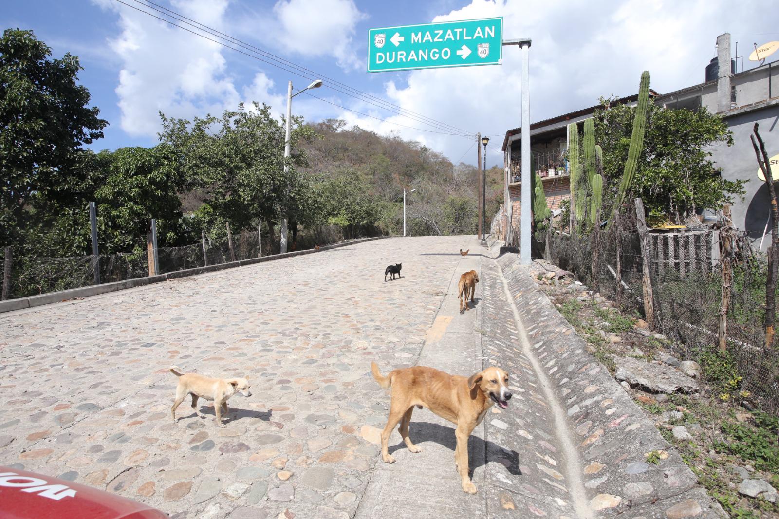 $!Tiene zona serrana de Concordia pueblos fantasma por la violencia