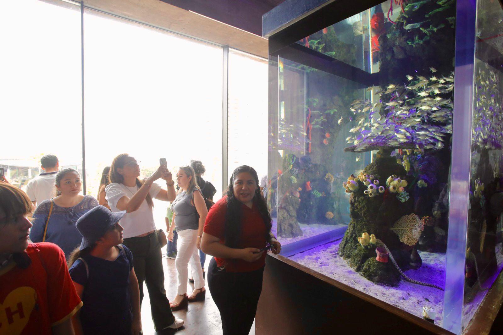 $!Hijos de trabajadores de Noroeste celebran el Día del Niño con una ‘exploración’ en el Gran Acuario de Mazatlán