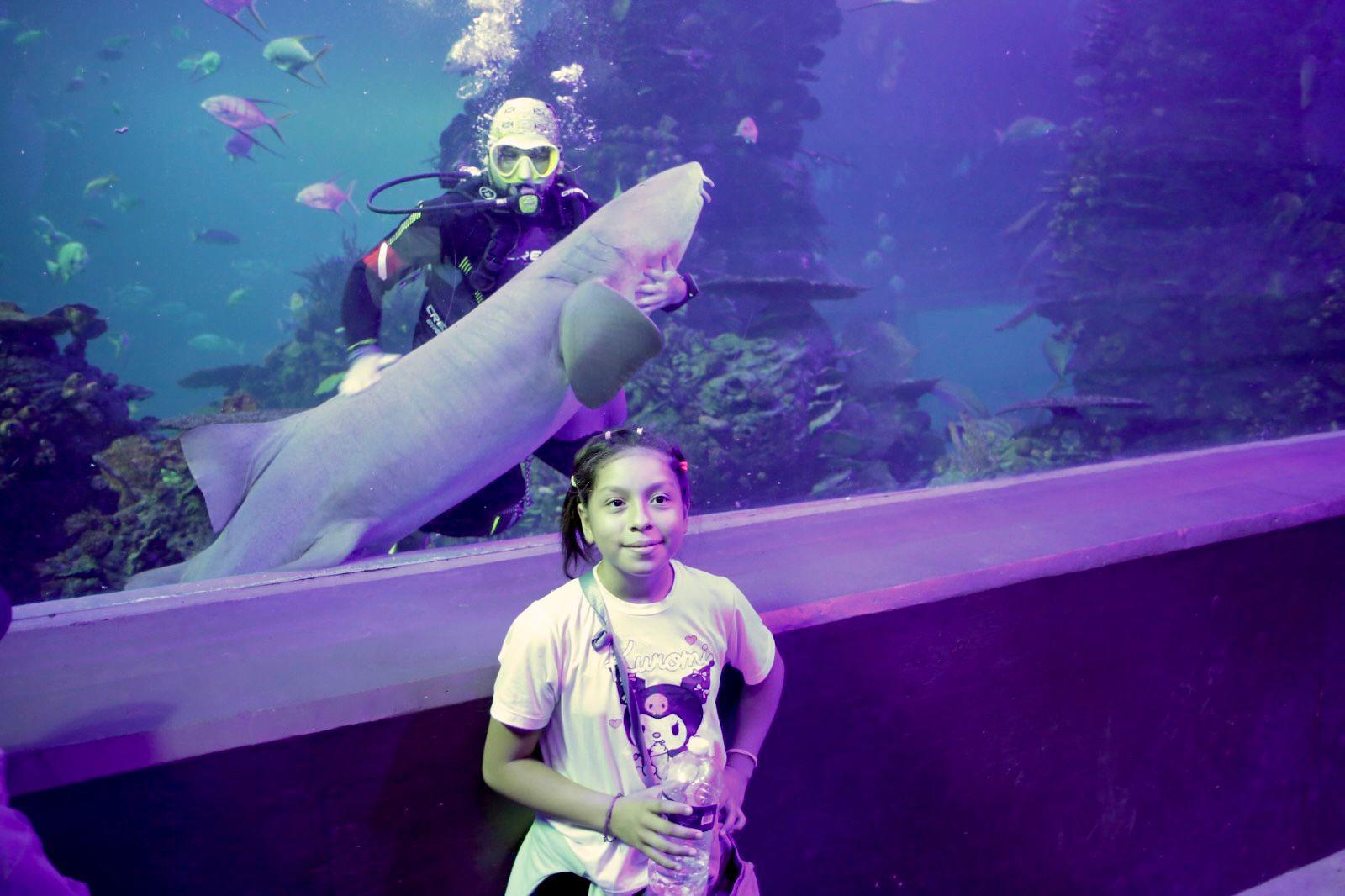 $!Hijos de trabajadores de Noroeste celebran el Día del Niño con una ‘exploración’ en el Gran Acuario de Mazatlán