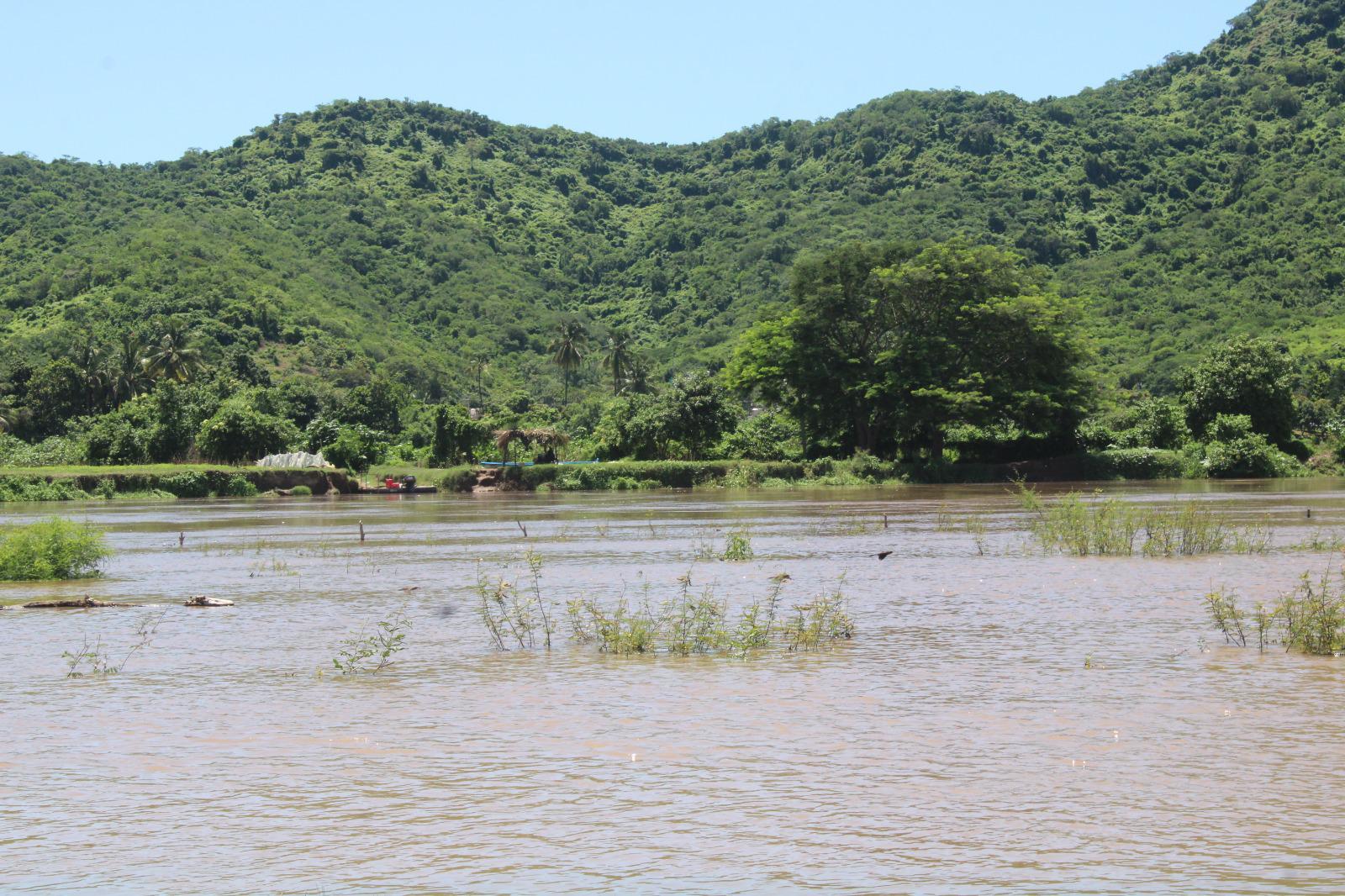 $!Por falta de agua dulce, pescadores desahucian temporada de camarón en Rosario