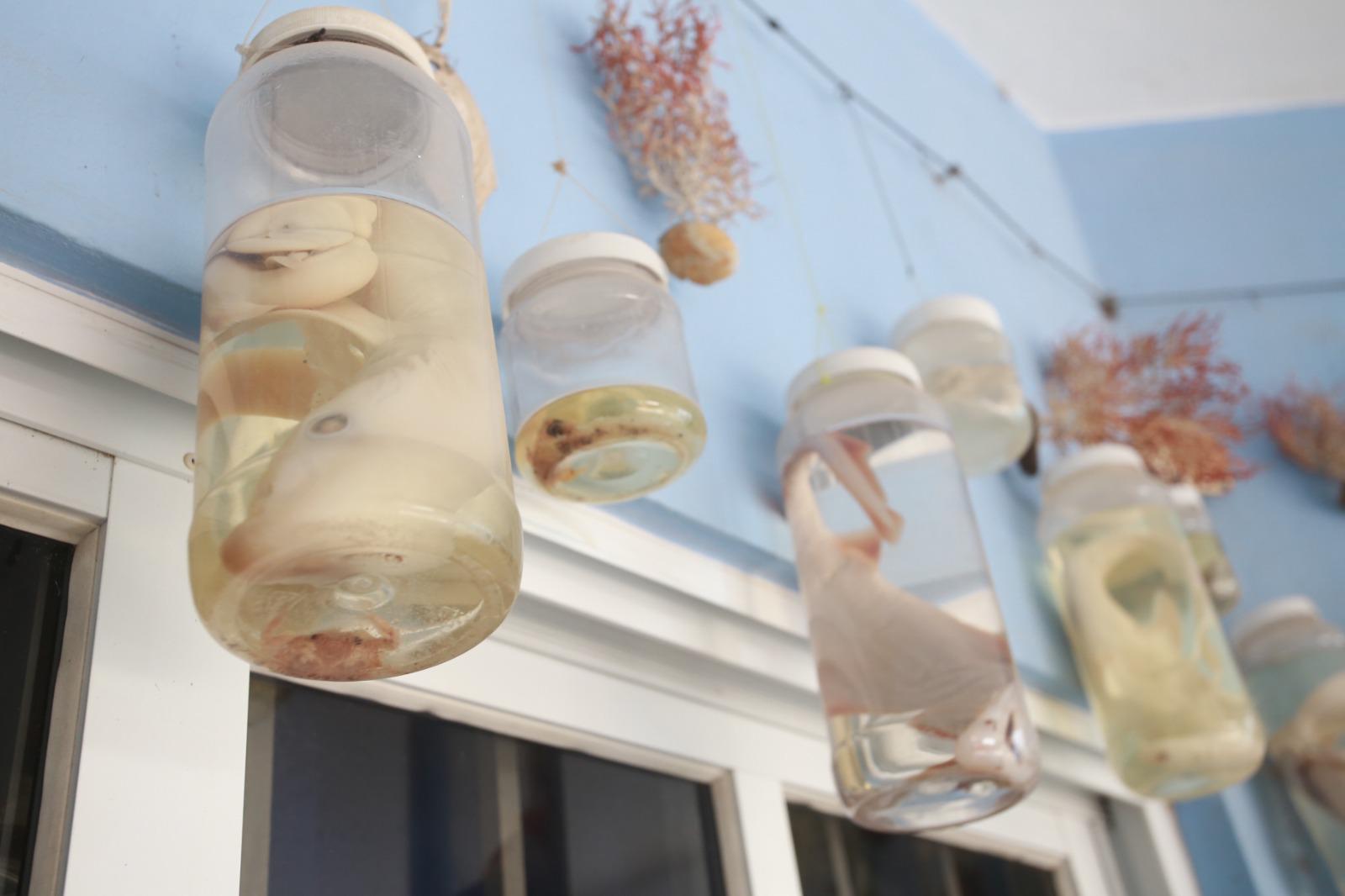 $!Tiene Mazatlán una Casa Museo Homenaje al Pescador