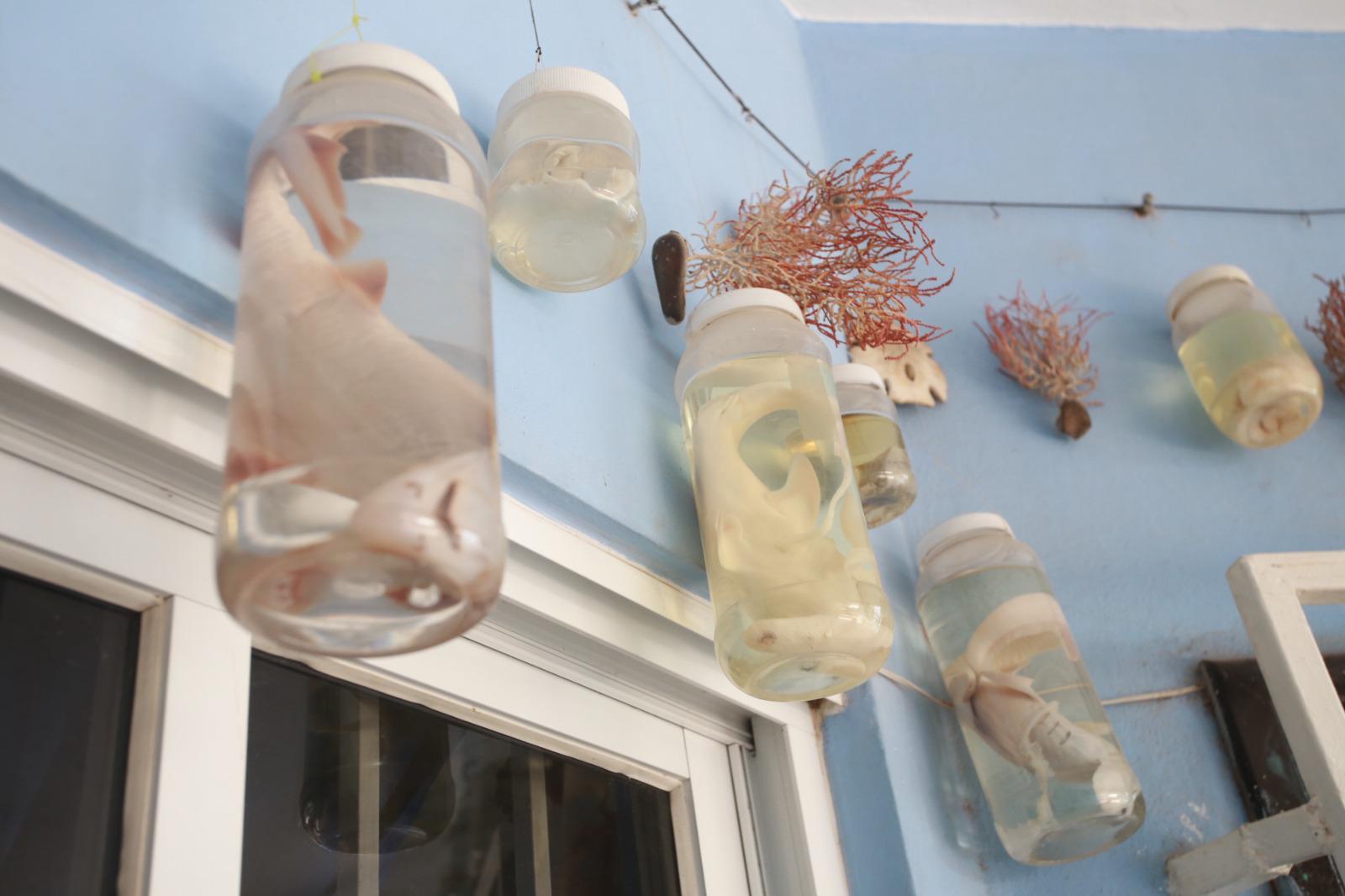 $!Tiene Mazatlán una Casa Museo Homenaje al Pescador