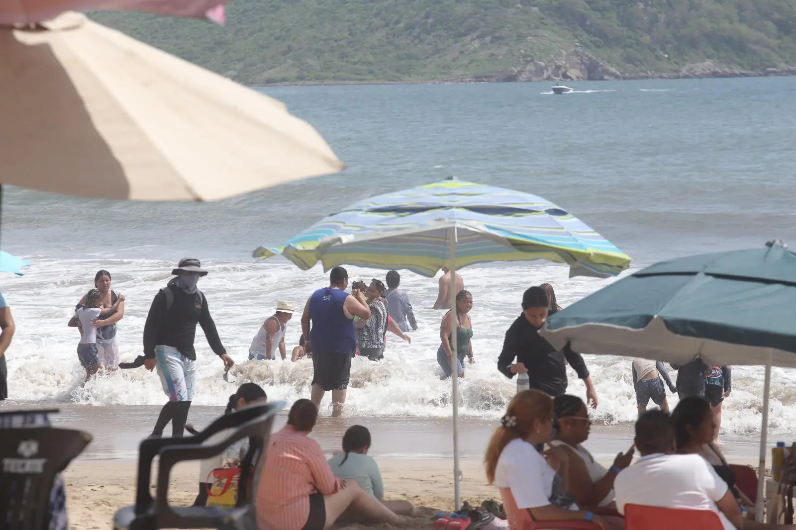 $!Playas de Mazatlán siguen abiertas pese a monitoreo por cocodrilo