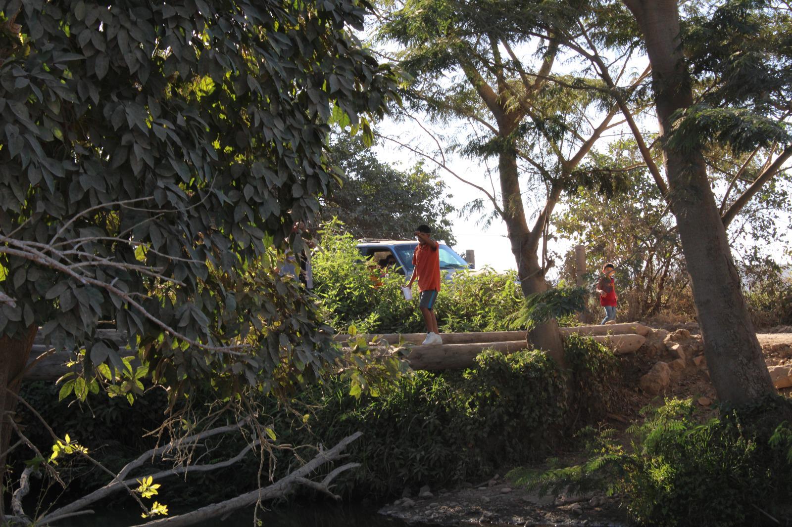 $!Se unen en Rosario a la tradicional cosecha de jícama